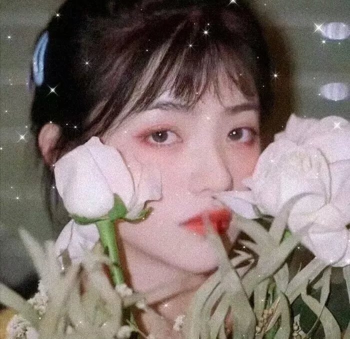负鼠
